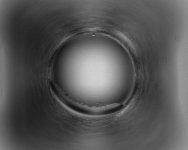 X0000092281361200709211148