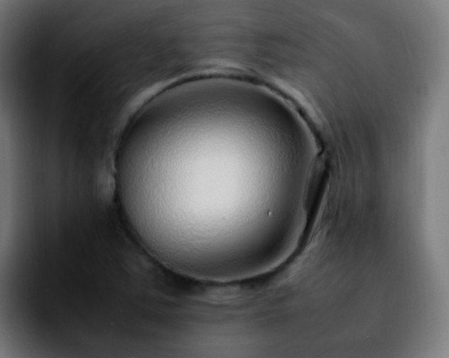 X0000092281363200709211148