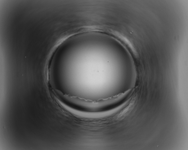 X0000092281365200709211148