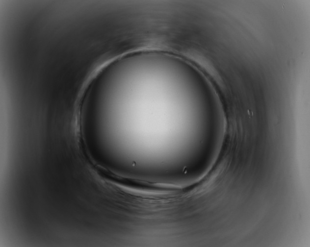 X0000092281366200709211148