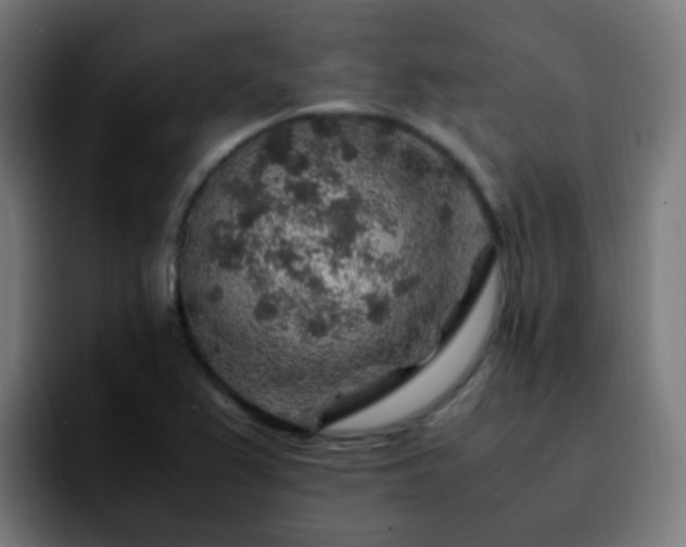 X0000092281367200709211148