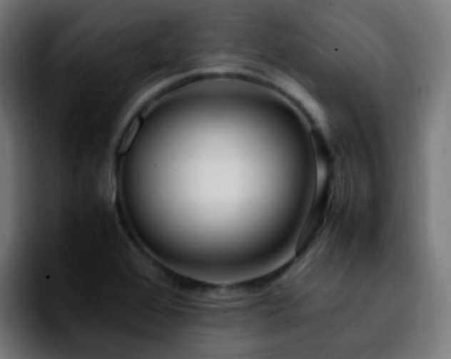 X0000092281368200709211148