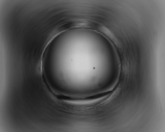 X0000092281370200709211148