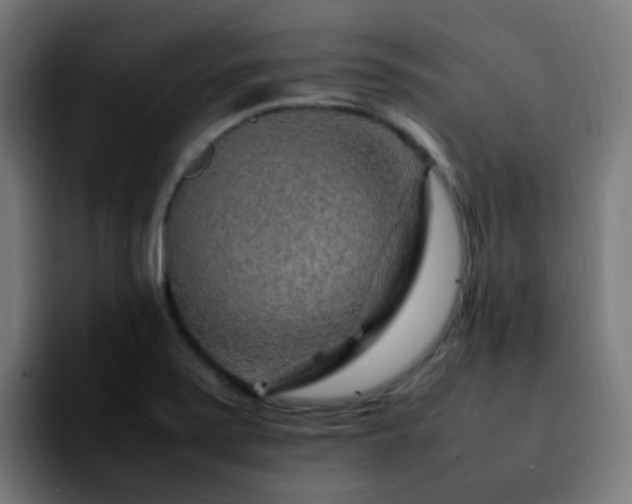 X0000092281371200709211148