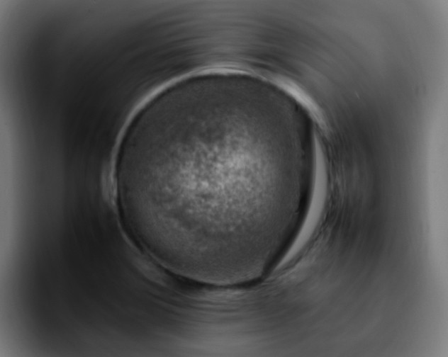 X0000092281372200709211148