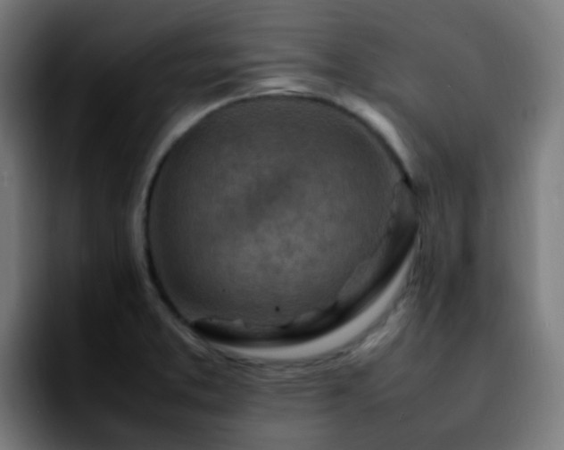 X0000092281373200709211148