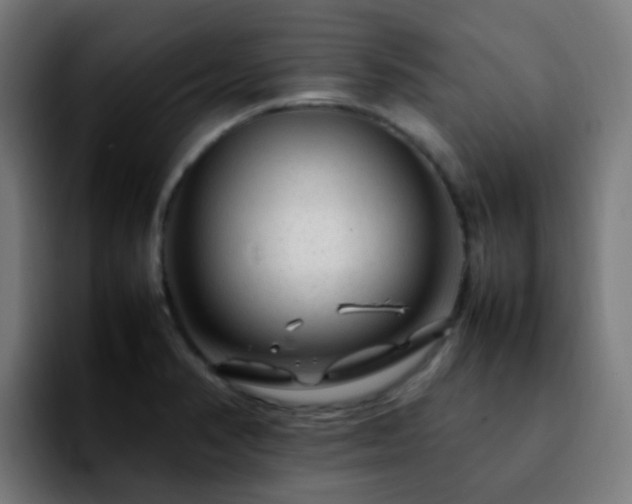 X0000092281374200709211148