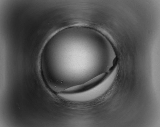 X0000092281375200709211148