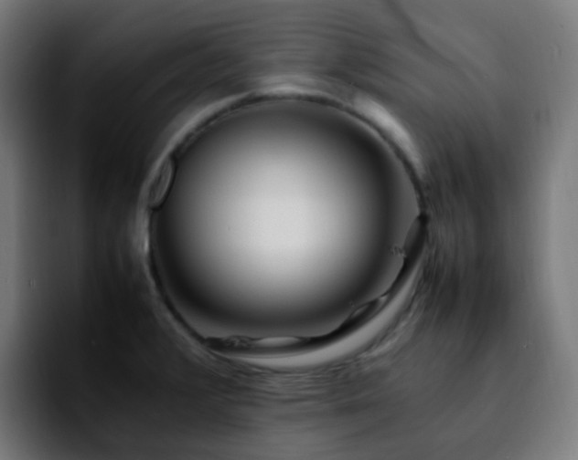 X0000092281376200709211148