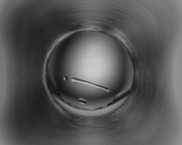 X0000092281379200709211148