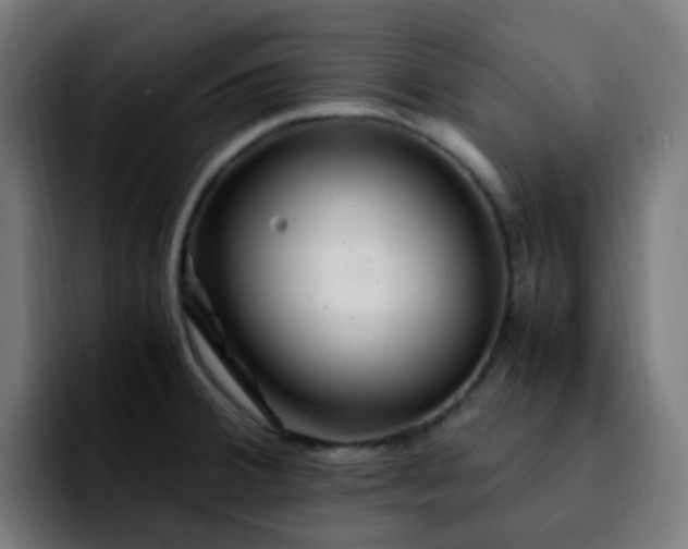 X0000092281380200709211148