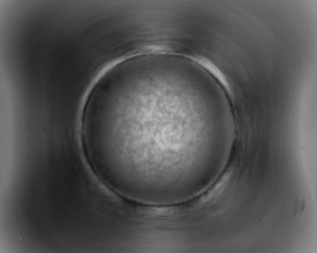 X0000092281381200709211148