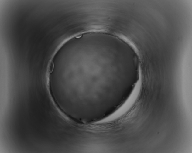 X0000092281383200709211147