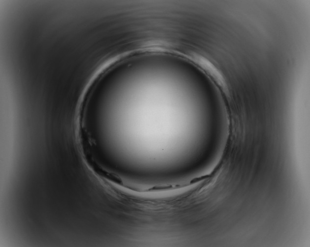 X0000092281384200709211147