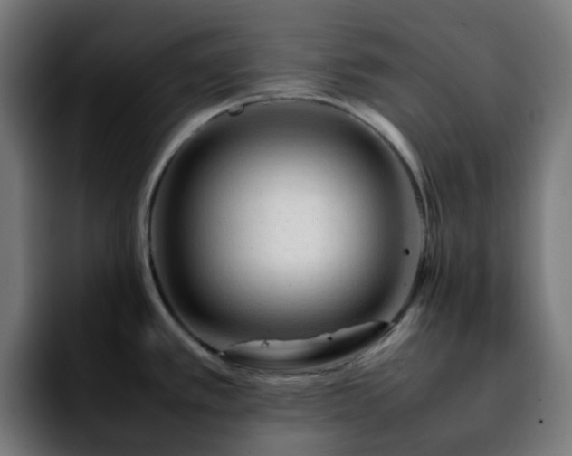 X0000092281389200709211147