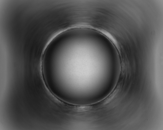 X0000092281390200709211147