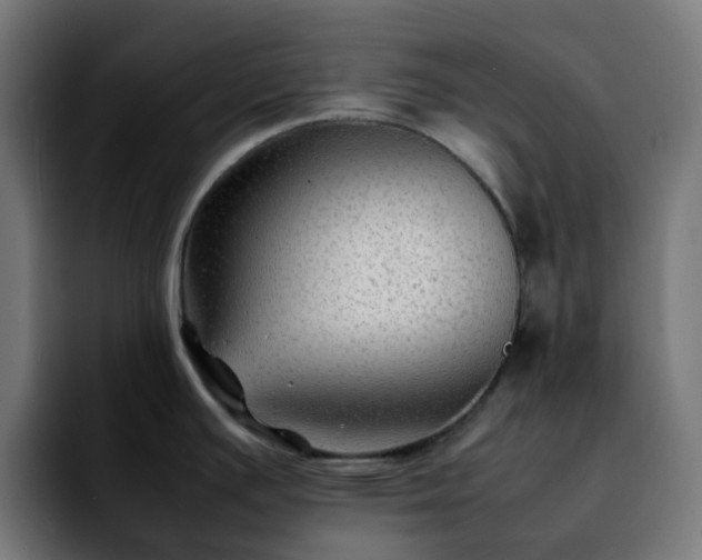 X0000092281391200709211147