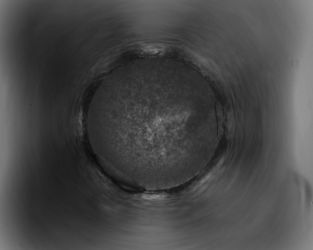 X0000092281394200709211147