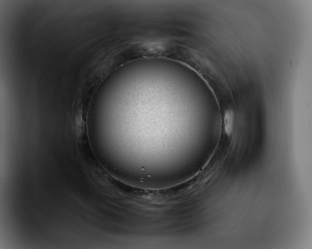 X0000092281395200709211147