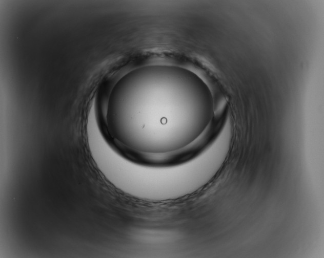 X0000092281398200709211147