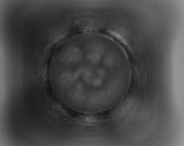 X0000092281399200709211147