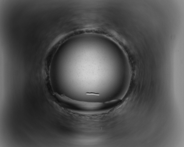 X0000092281400200709211147