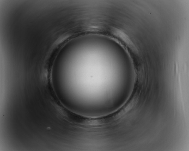 X0000092281402200709211147