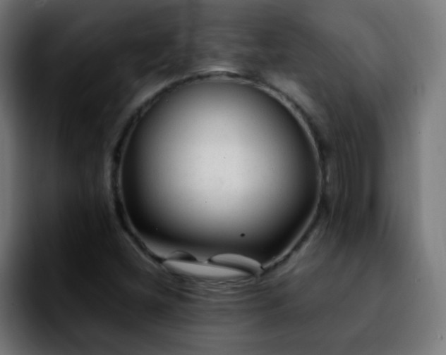 X0000092281404200709211147