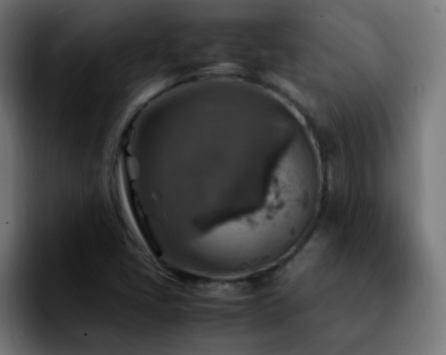 X0000092281405200709211147