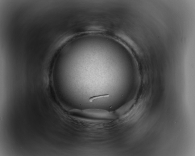 X0000092281407200709211147