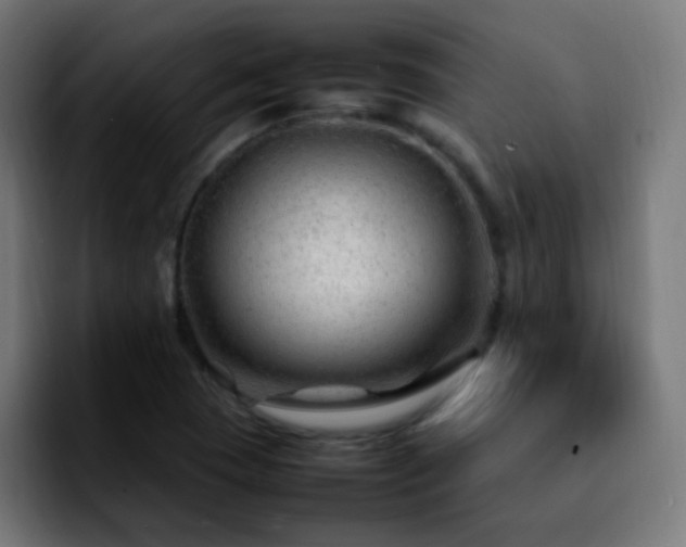 X0000092281409200709211147