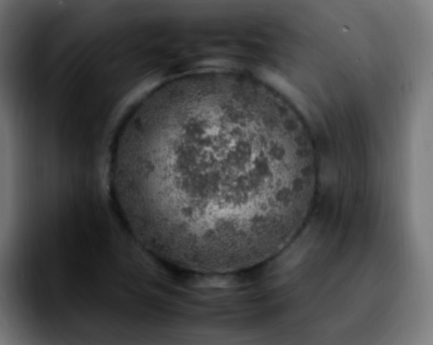 X0000092281411200709211147