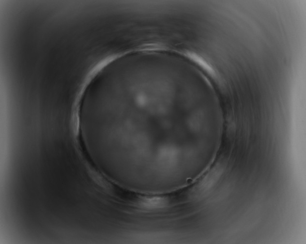 X0000092281413200709211147