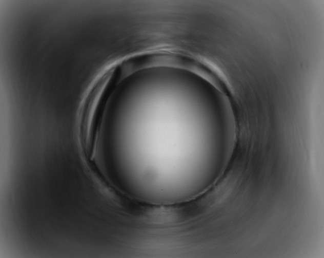 X0000092281414200709211147