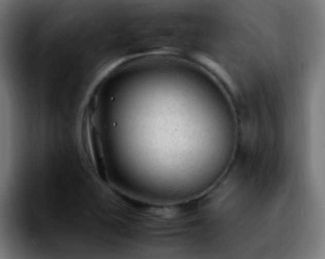 X0000092281415200709211147