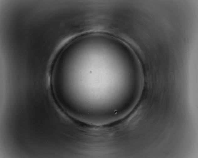 X0000092281416200709211147