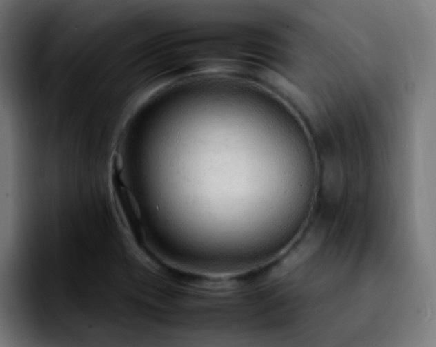 X0000092281417200709211147