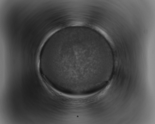 X0000092281418200709211147