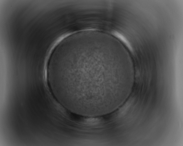 X0000092281419200709211147