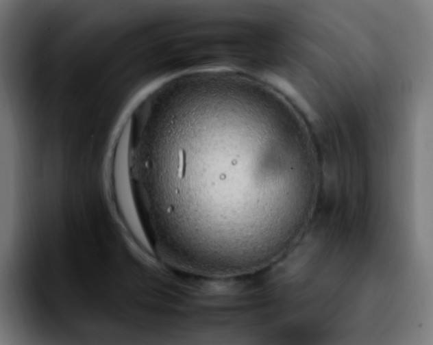 X0000092281421200709211147