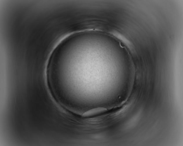 X0000092281423200709211147