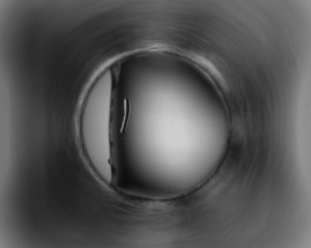 X0000092281424200709211147