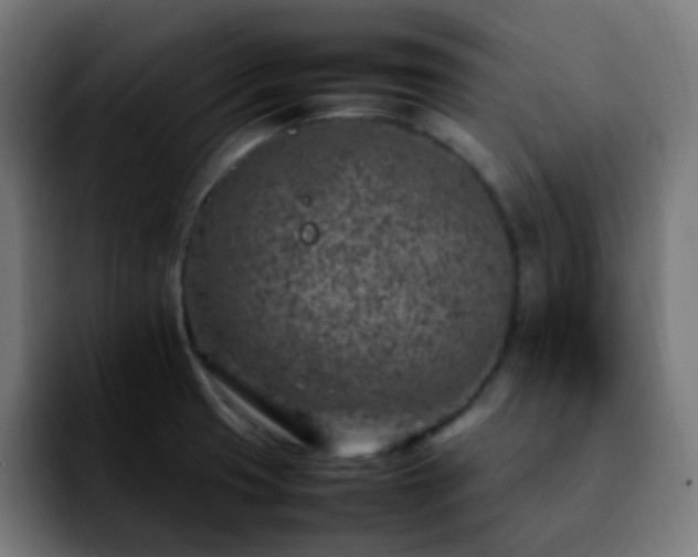 X0000092281425200709211147