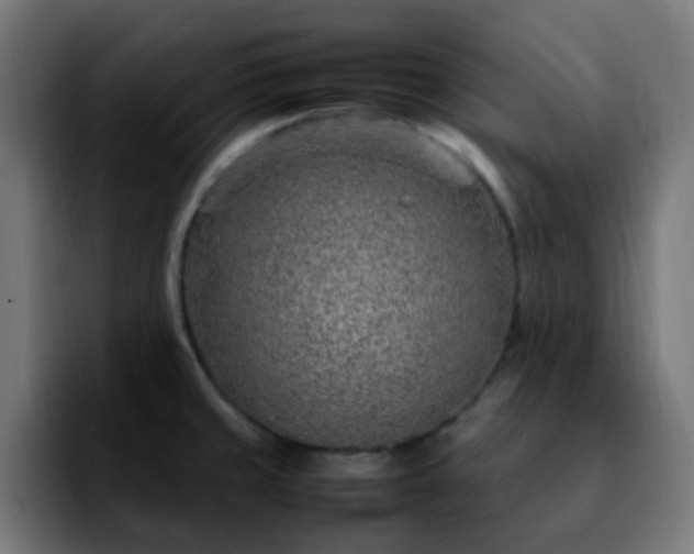 X0000092281429200709211147