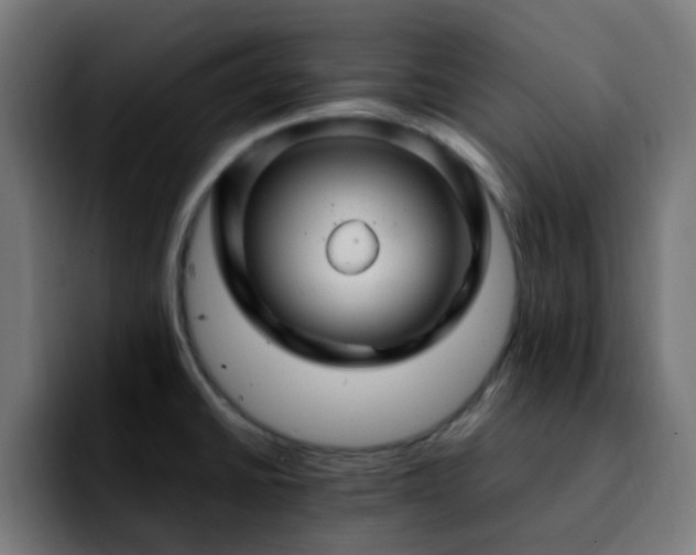 X0000092281430200709211147