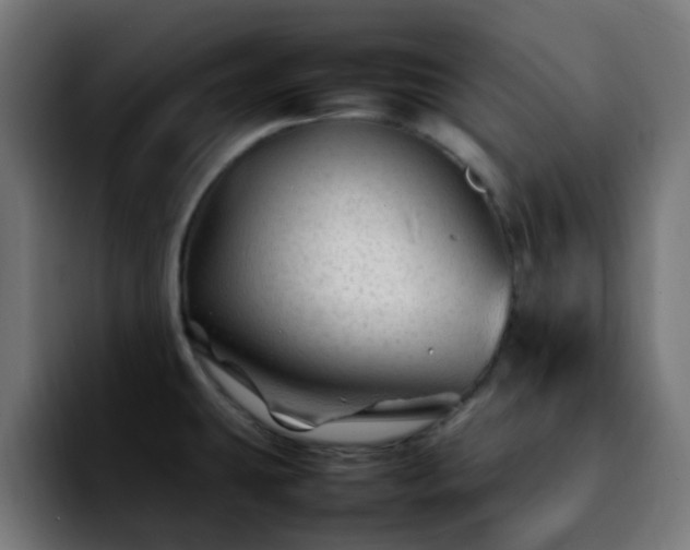 X0000092281431200709211147