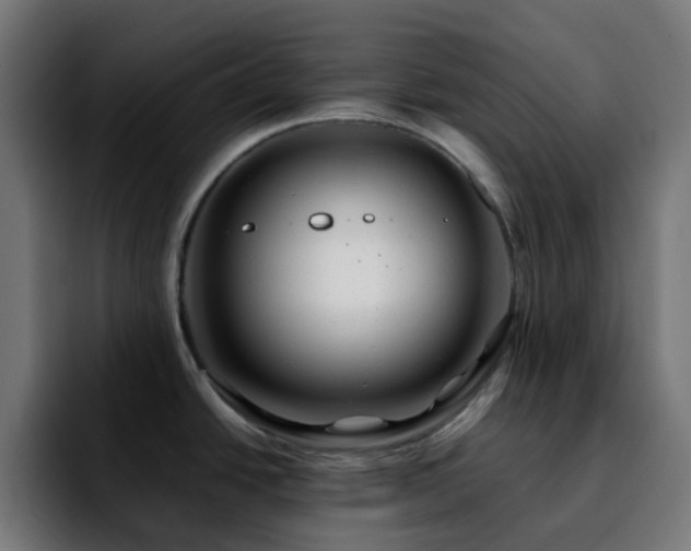 X0000092281438200709211147