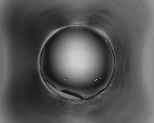 X0000092281440200709211147