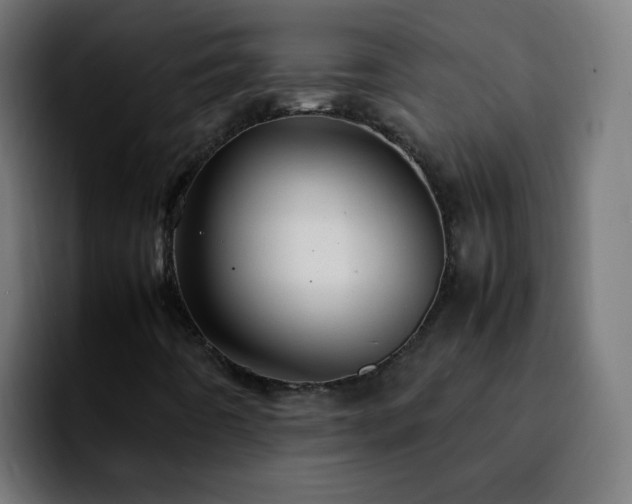 X0000092281442200709211147