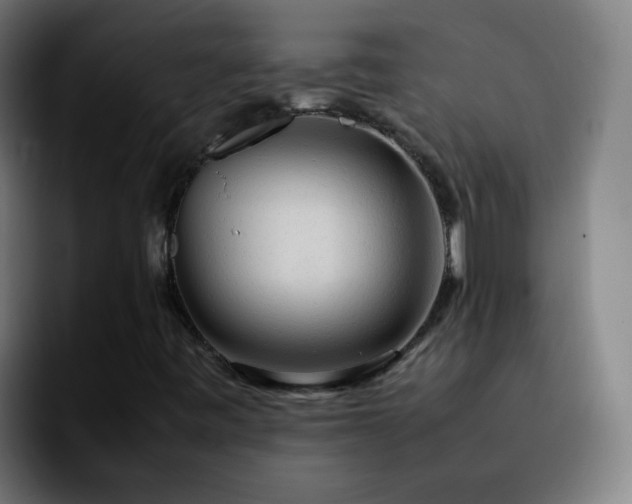 X0000092281443200709211147